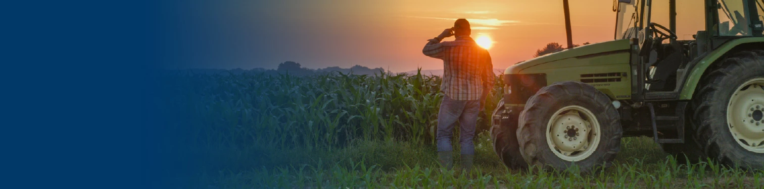 A farmer looking at his fields