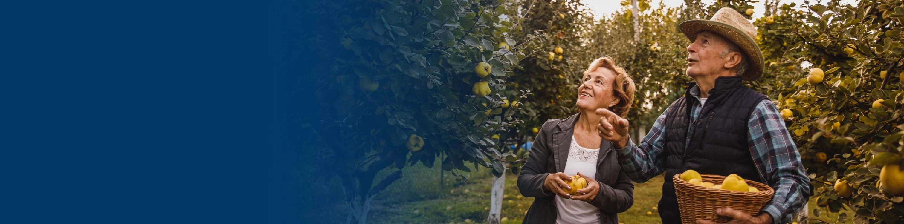 A couple out picking apples