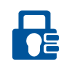 Data and Security Icon