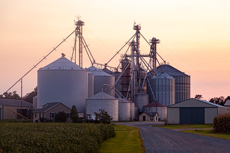 A farm picture