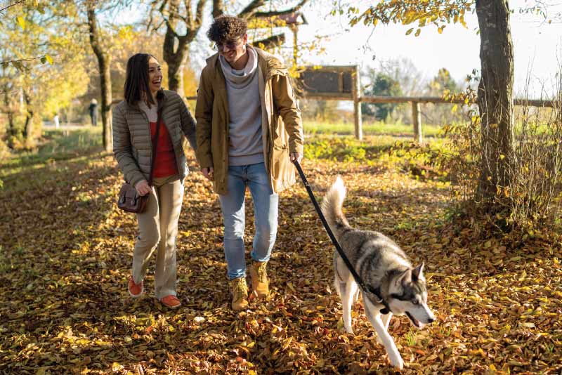 A couple taking a walk with their dog