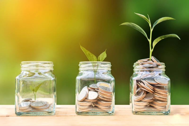 Growing money from pennies