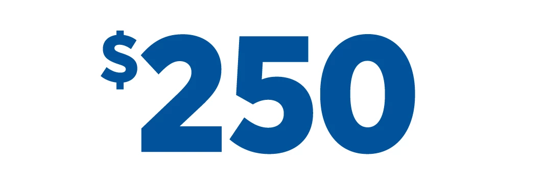 $250 Bonus icon