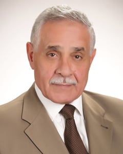 Mohamed Elashawah