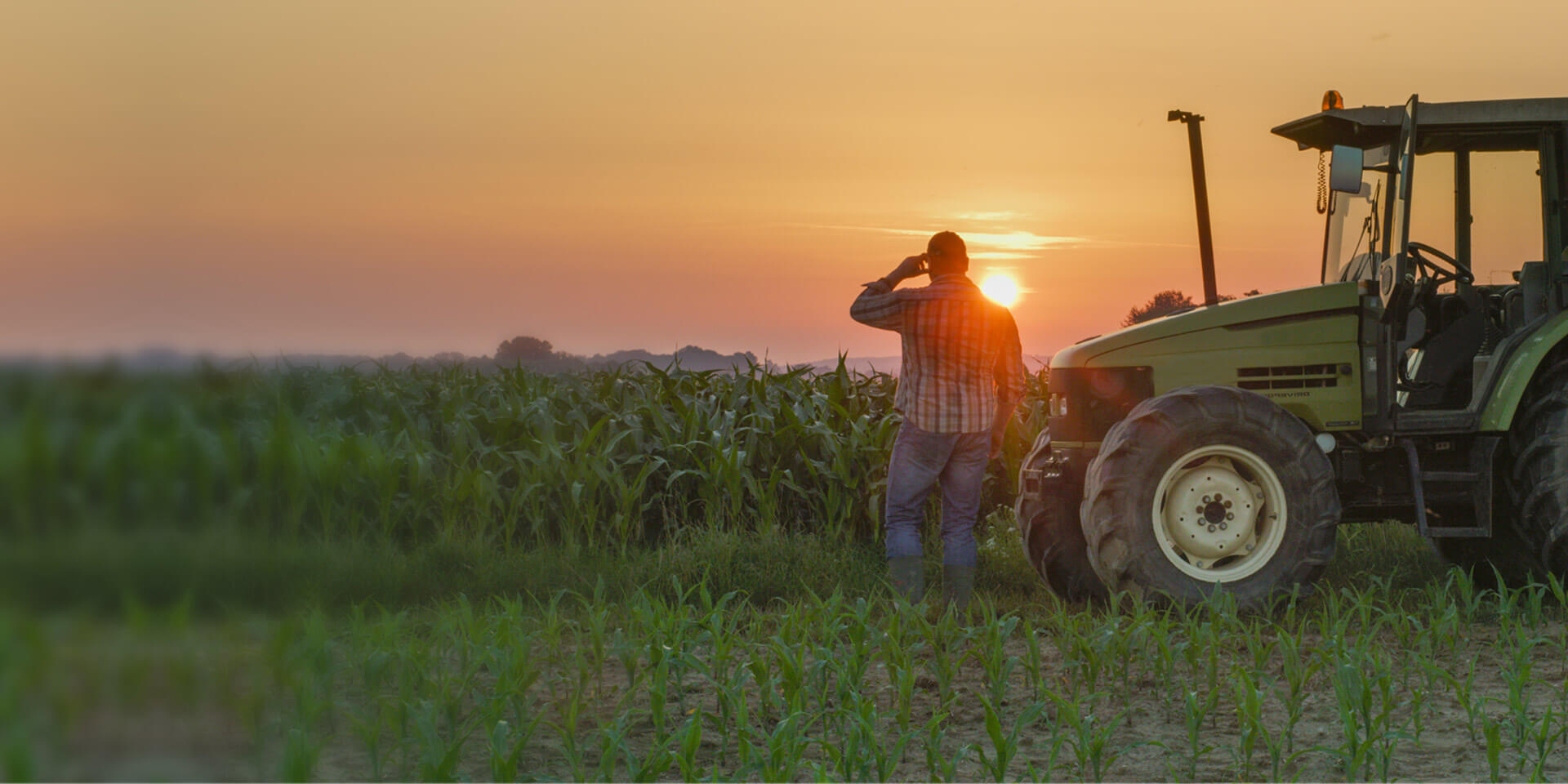 A farmer looking at his fields