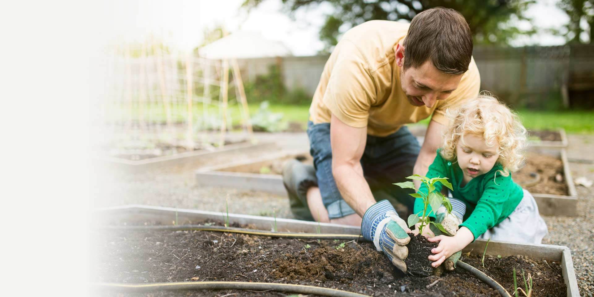A father and child planting vegetables in a garden are an example of a Midwest Checking family
